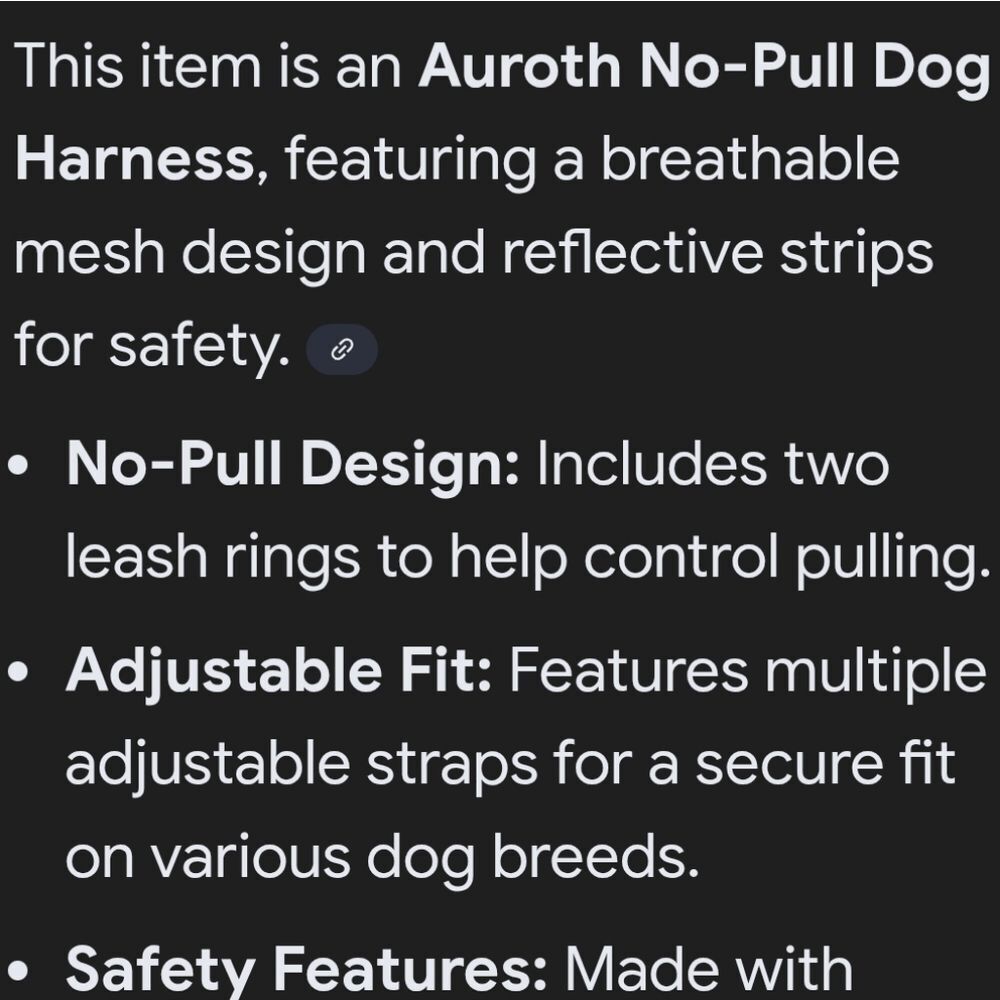 Dog Harness Set - Picture 4 of 11